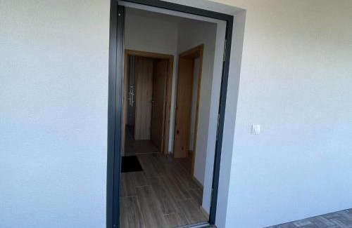 Rosenbach Apartment | Appartment David