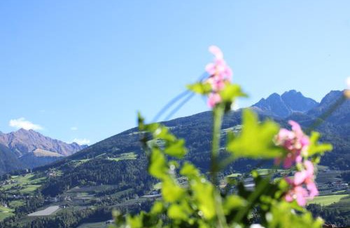 Rifiano Apartment | Appartments Innerhofer