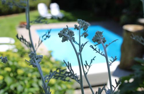 Rifiano Apartment | Appartments Innerhofer