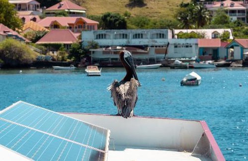 Terre-de-Haut Boat Rental | Aqualodge, Les Saintes, Terre de Haut