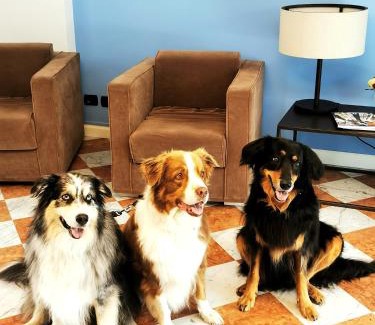 Cannobio Hotel | Aquazzurra Resort & Aparthotel