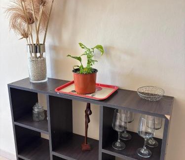 Catamarca Apartment | Amplio depto a estrenar a metros de plaza principal