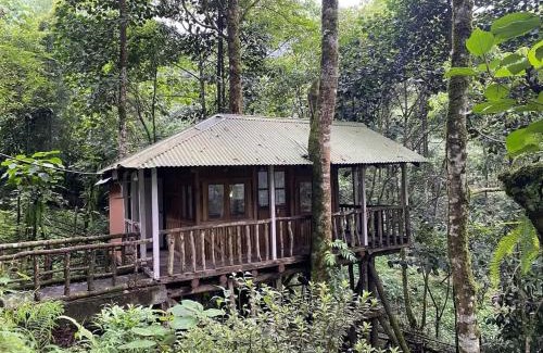 Darjeeling House | Aranya Baas By StayApart