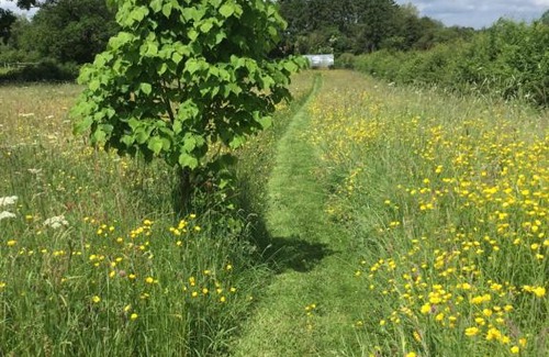 Leominster Other | Archers Glamping Meadow