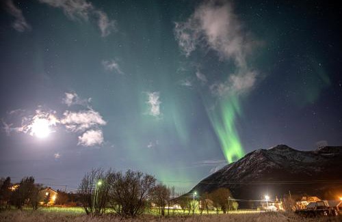 Tranoy Municipality Apartment | Arctic Wonderland