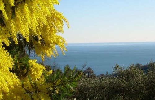 Moneglia Apartment | Ariabuona
