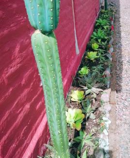 Puembo Hotel | Arie's Cabin