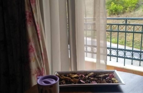 Kalavrita Apartment | Aristarchos Lodge