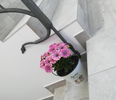 Ustka House | Armona