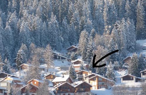 Brigels House | Arnika Montana