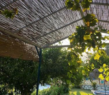 Hayitbuku House | arslan pansiyon