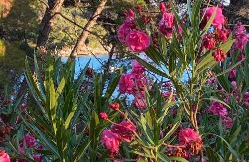 Artatore Apartment | Artatore24 - Modern and stylish Apartments