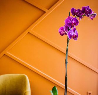 Bitola Hotel | Artelo - Inspired Stay