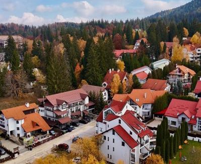 Poiana Brasov Bed & Breakfast | Artemis Villa