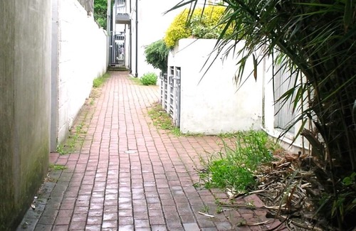 Brighton City Centre Apartment | Artist Studio | By My Getaways