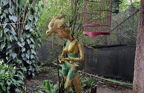 La Estrella Villa | Artsy lush villa with jungle garden in the city