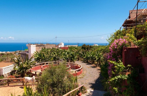 Arucas Villa | Arucas 10 by VillaGranCanaria