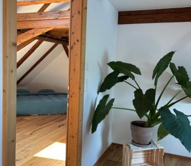 Osterfingen House | Asas do Beija-Flor