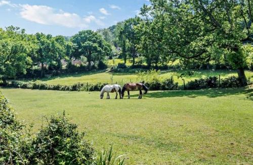 New Forest District House | Ashdale Cottage