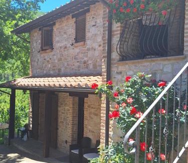 Armenzano House | Assisi Casa Vacanze Da Luigi