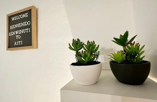 Asti Apartment | Asti Spumante