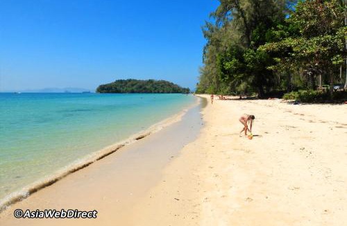Nong Thale Apartment | At Seacondo-1 Bedroom-A12