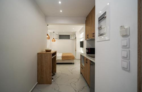 Karpenisi Apartment | Athens City-Break Studios- near Acropolis