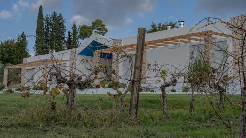 Pyrgos Apartment | Atrium Vinea Brintziki Winery