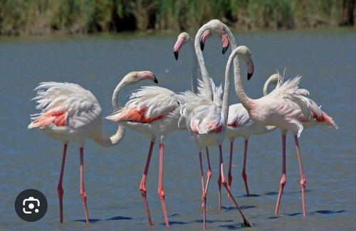 Montpellier Boat Rental | Atypical accommodation on the Camargue waterfront