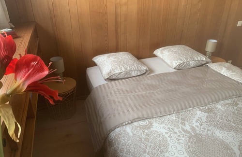 Epinal House | Atypical apartment near the station