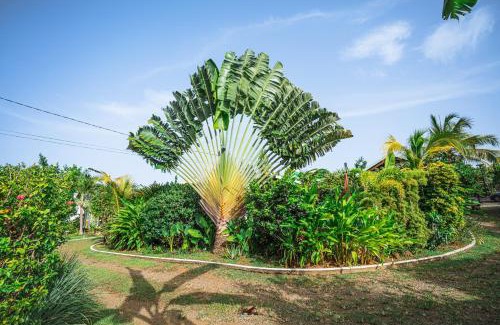 Goyave House | Au cœur du papillon piscine privée
