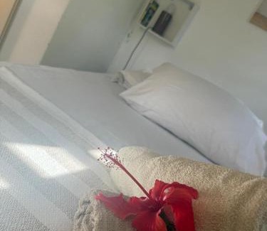 Goyave Apartment | Au coeur du papillon en amoureux piscine à partager