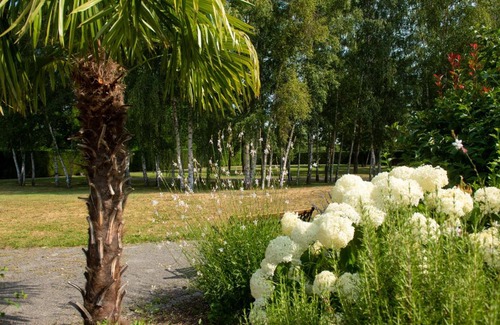 Savigneux Bed & Breakfast | Au fil du Vizézy - Chambre d'hôtes