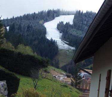 Gerardmer Apartment | Au grenier du lac
