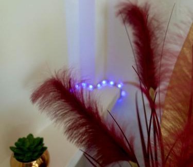 Grand-Bourg Apartment | Au Nid de KLOE, plage & piscine