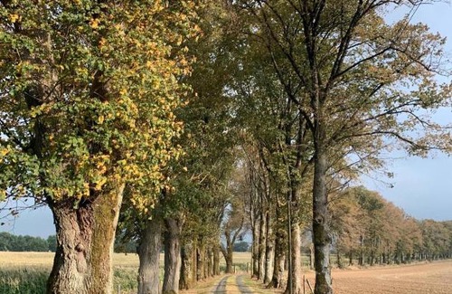 Auge Bed & Breakfast | Au p’tit bonheur d’augé