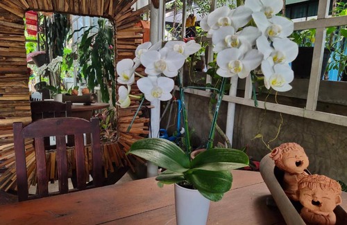 Nimman Bed & Breakfast | Aunt & Uncle's House