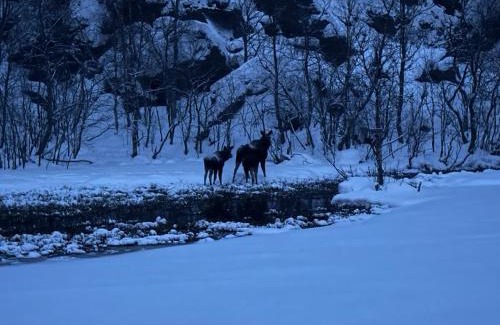 Ibestad Villa | Aurora view house