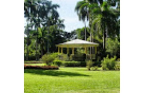 Kingston Villa | Authentic Jamaican Family Villa