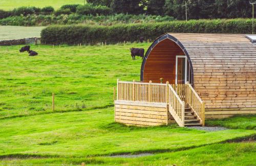 Hallington Ski Chalet | Autumn Special Offer - Secluded Luxury Cabins with stream, stargazing, walks and nature - Fell Farm Hideaway