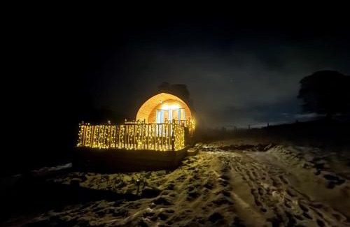 Hallington Ski Chalet | Autumn Special Offer - Secluded Luxury Cabins with stream, stargazing, walks and nature - Fell Farm Hideaway