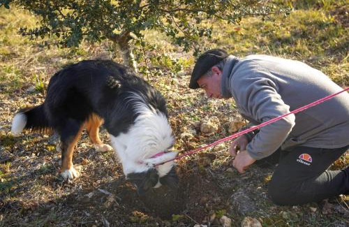Sorges-et-Ligueux-en-Perigord House | Aux delices de Saleix