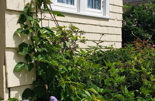 Madison Cottage | Available July 1, 2025 2 week or monthly.