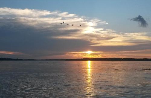 Indiana Cabin | Avatar Amazon Lodge & Canopy Park