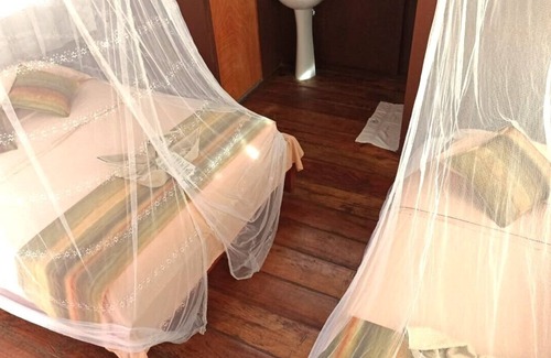 Indiana Cabin | Avatar Amazon Lodge & Canopy Park