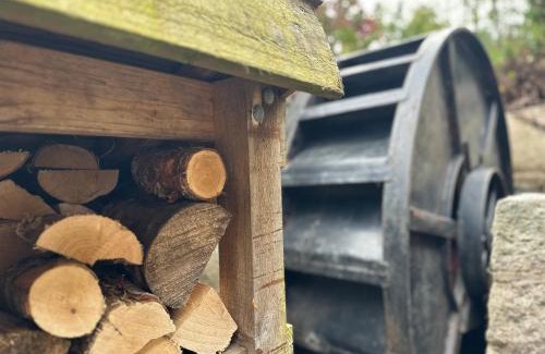 Inverurie Bed & Breakfast | Awakening Alchemy Retreat Centre
