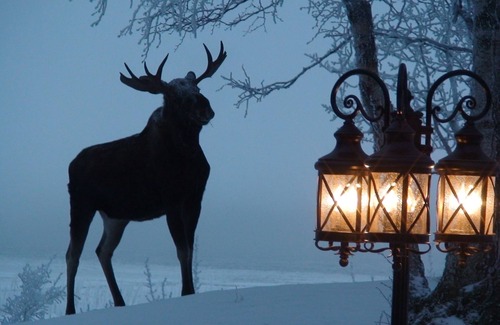 Old Seward - Oceanview Bed & Breakfast | Away from the Hustle & Bustle, But Close Enough