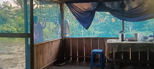 Tamshiyacu House | Ayahuasca y Turismo