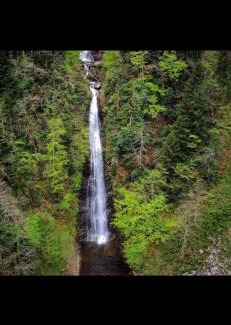 Ayder Yaylasi Hotel | Ayder Haylaz otel