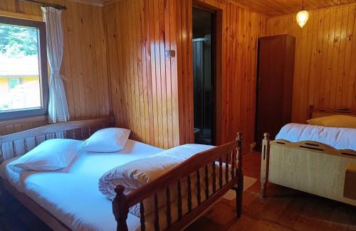 Ayder Yaylasi Bed & Breakfast | Ayder Petek Apart Otel